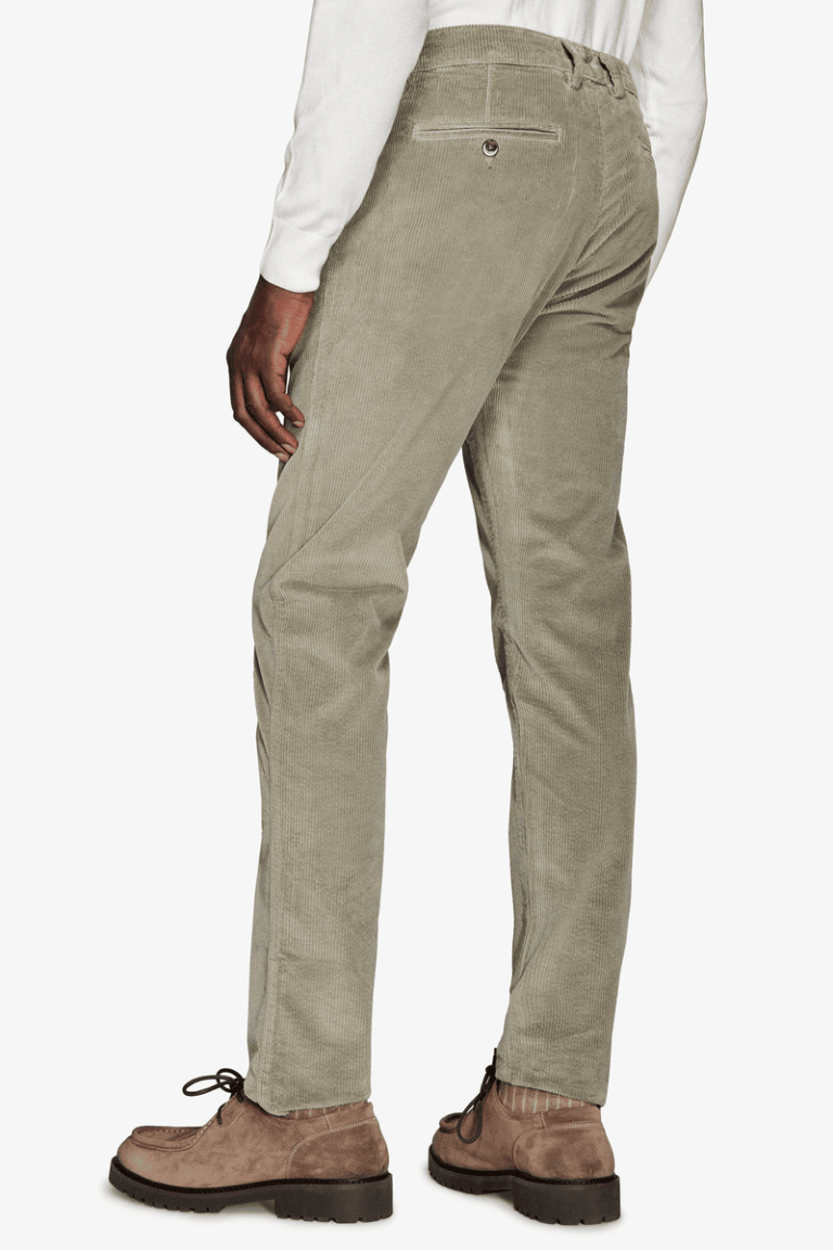 Salvia Chino pantalone od somota