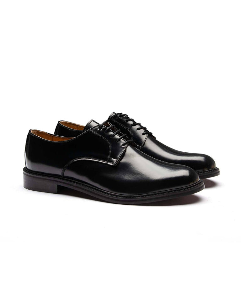 Crne elegantne cipele