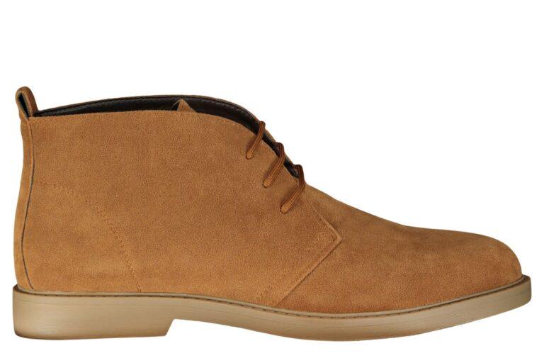 I19K20-1813-FANCAMMELLO-1