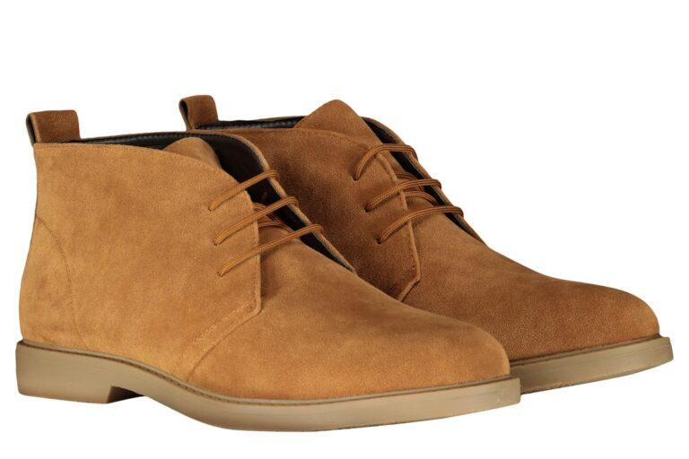 I19K20-1813-FANCAMMELLO-2
